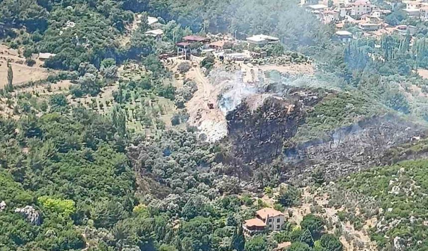 İzmir Kemalpaşa’da orman yangını