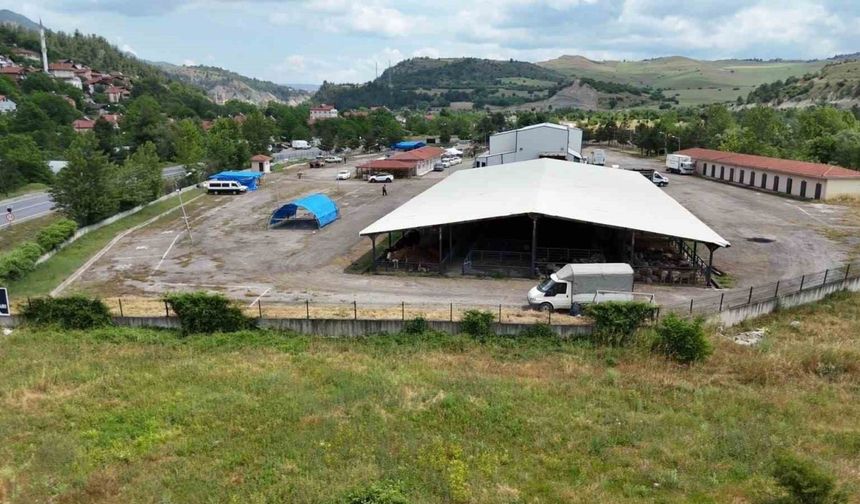 Karabük Belediyesi’nden kurban satış noktası ve ücretsiz servis duyurusu