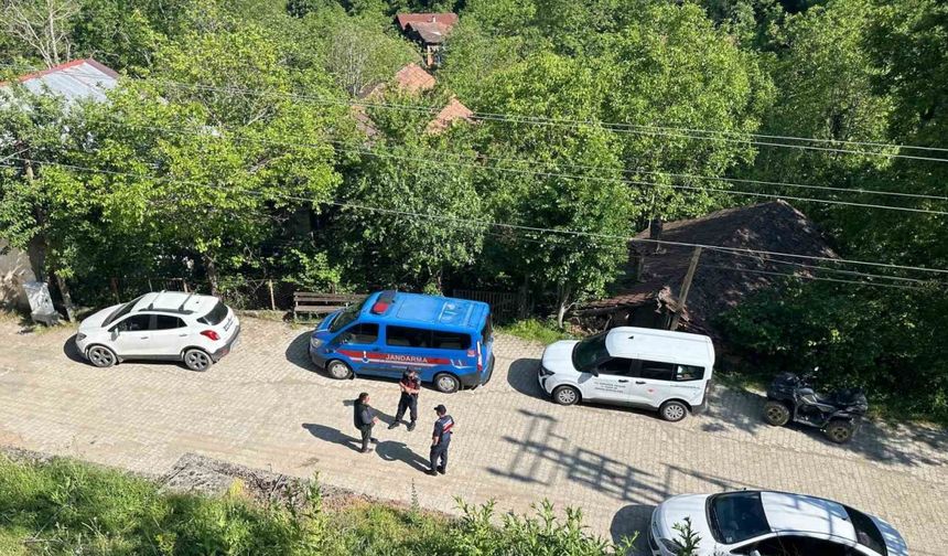 Karabük’teki köpek ölümleriyle ilgili inceleme başlatıldı