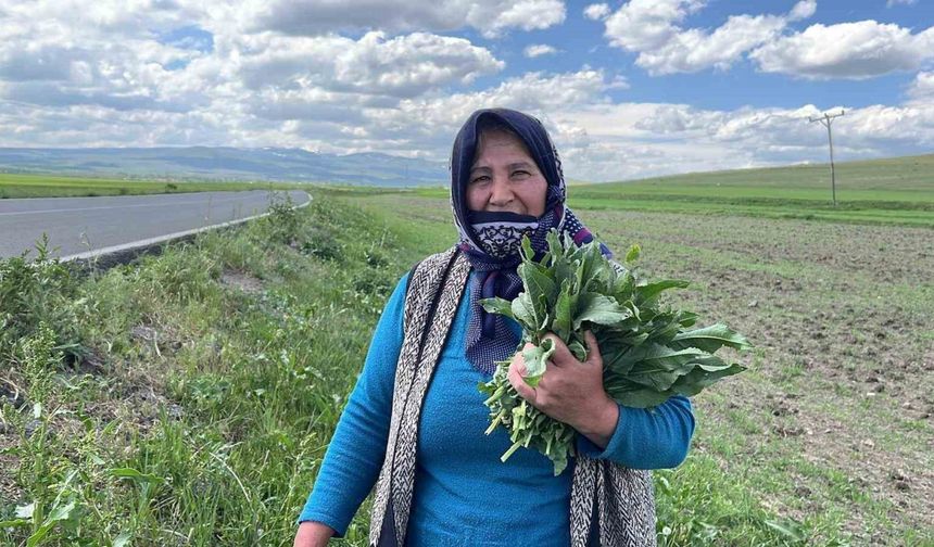 Karslı kadınların ‘evelik’ mesaisi başladı