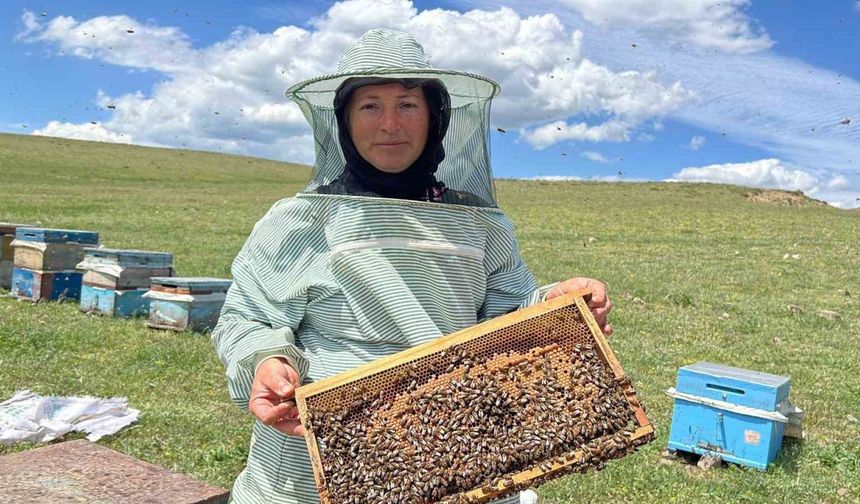 Kars’ta baba mesleği arıcılığı 21 yıldır eşiyle birlikte yapıyor