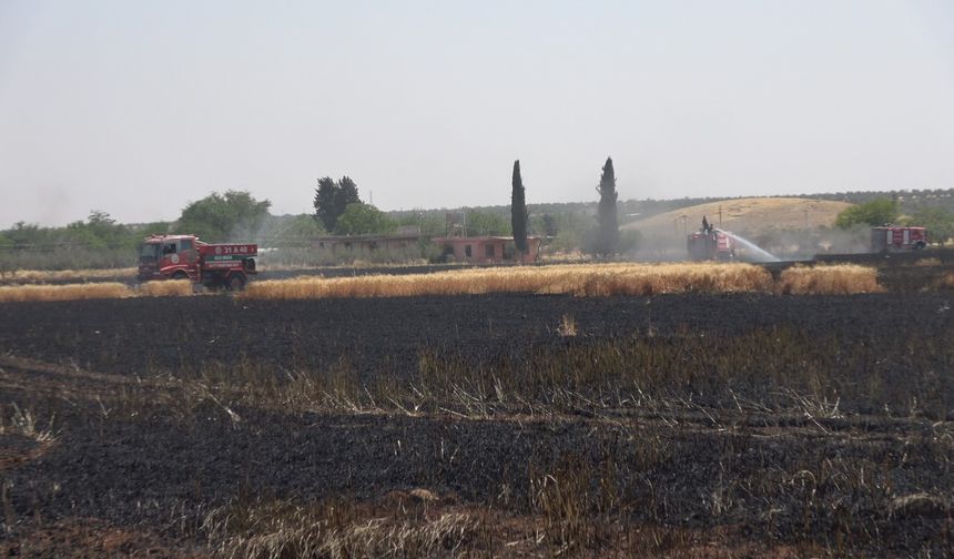 Kilis’te buğday tarlasında yangın