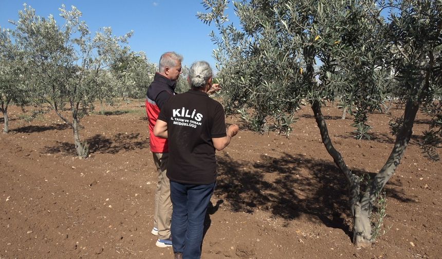Kilis’te tarımsal sulama yatırımları artıyor