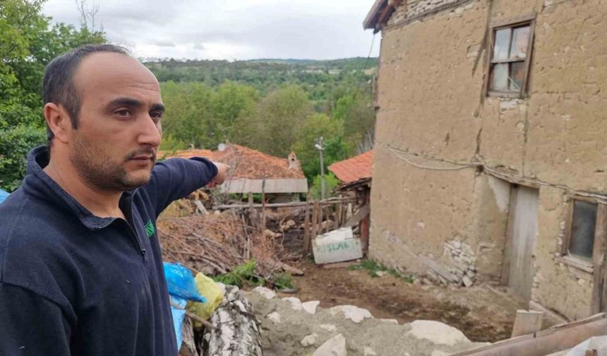 Kütahya’da kurtların saldırısında 11 koyun telef oldu