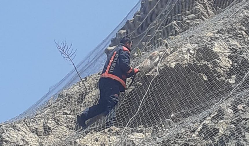 Malatya’da ağa takılan 2 yaban keçisi kurtarıldı