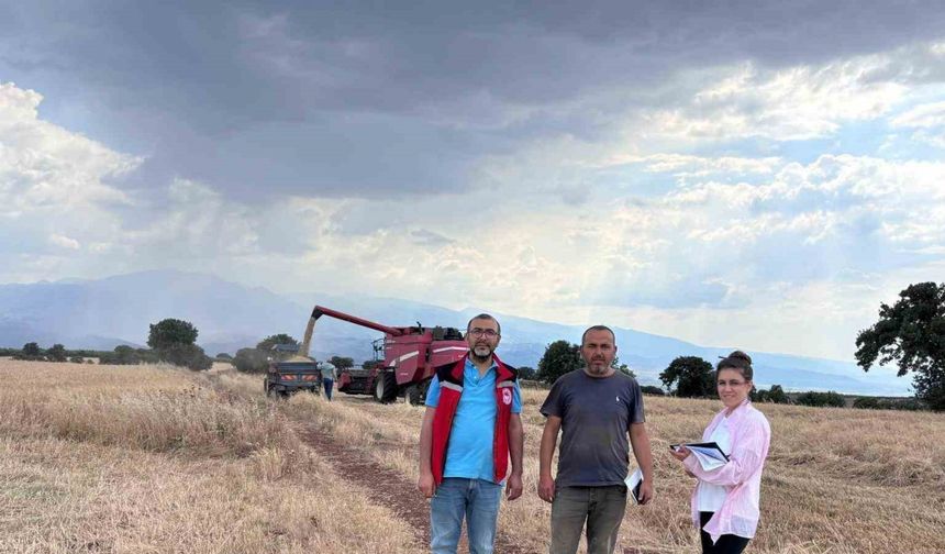 Manisa’da biçerdöverler takip altında