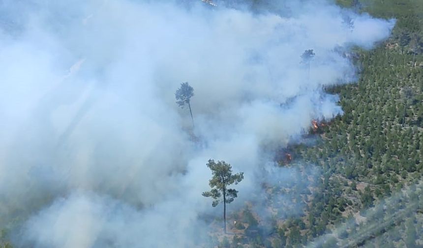 Manisa’da çıkan orman yangınına müdahale devam ediyor