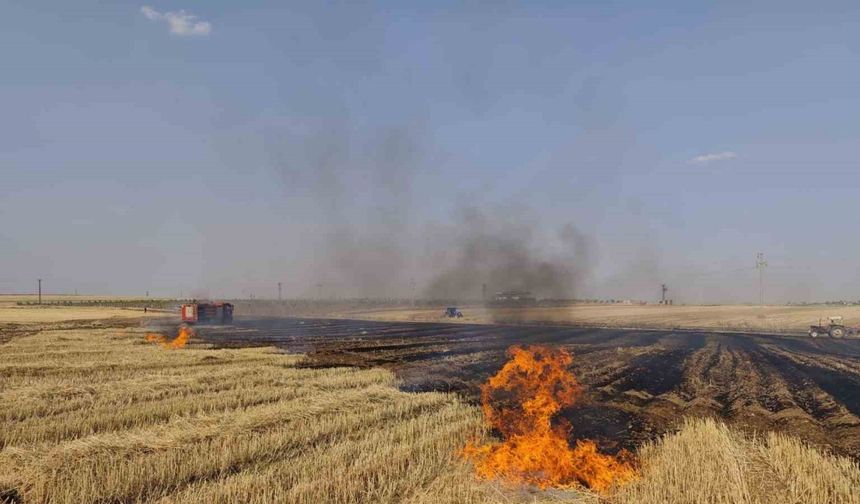 Mardin’de çıkan anız ve orman yangınları söndürüldü