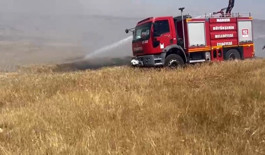 Mardin’de ekili arazide çıkan yangın söndürüldü
