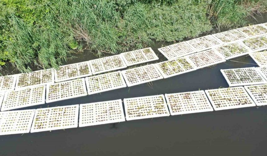 Marmara Denizi’ni besleyen derelerde "Yüzer Ada Projesi" hayata geçirildi
