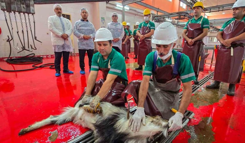 Mersin’de şehitlerin anısına kurban kesildi