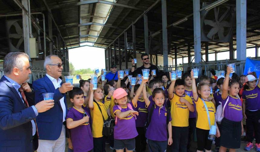 Minikler inekler arasında süt içerek Süt Günü’nü kutladı