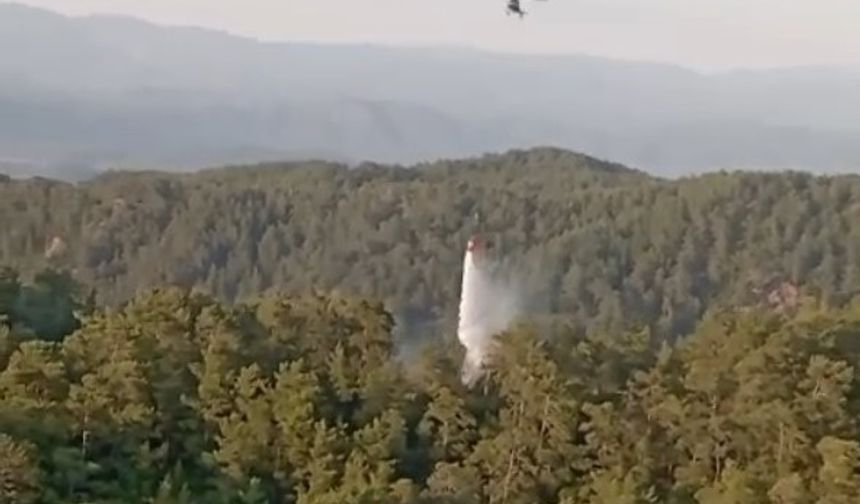 Muğla ve Aydın’daki orman yangınları büyümeden söndürüldü