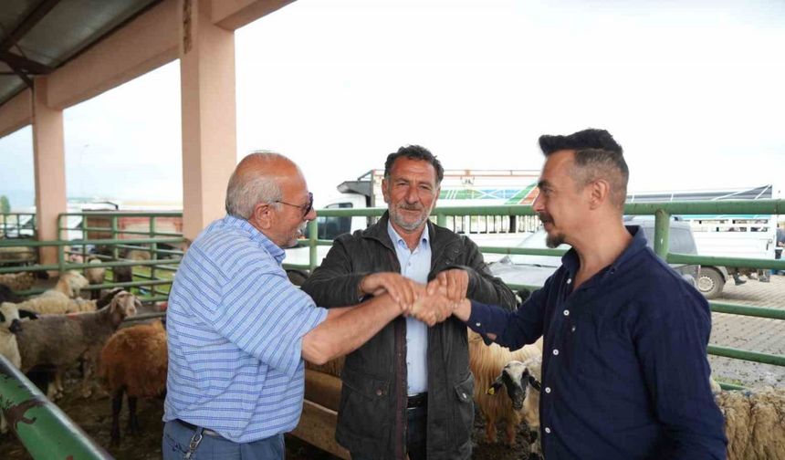 Muş’ta kurban pazarı hareketlendi: Sıkı pazarlıklar dikkat çekiyor