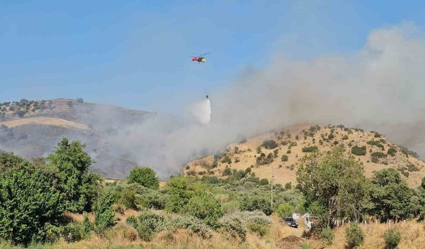 Nazilli’deki zirai alan yangını kontrol altına alındı
