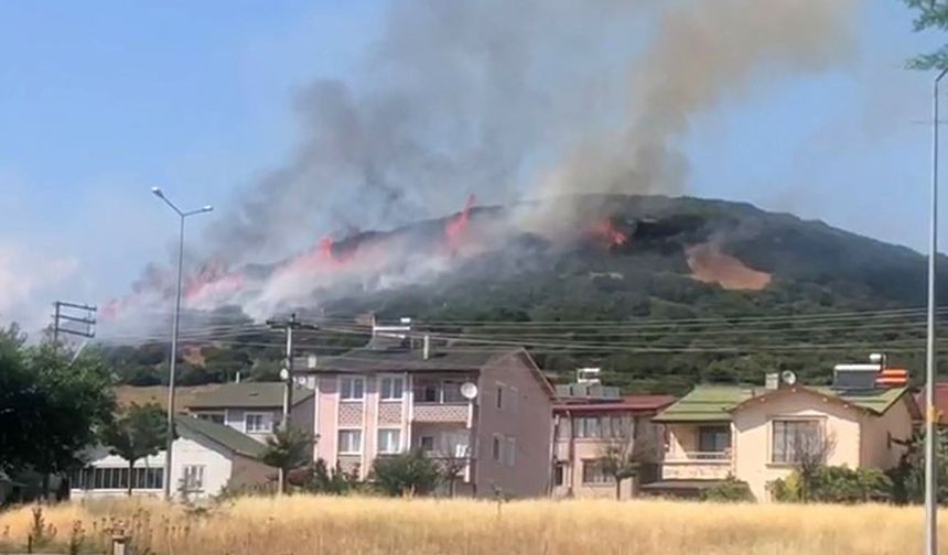 Niksar’da orman yangını, ekiplerin müdahalesi sürüyor