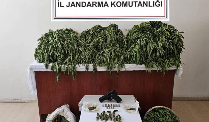 Nusaybin’de uyuşturucu operasyonu: 4 gözaltı