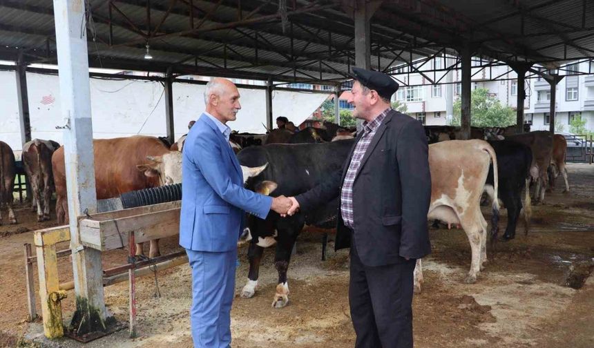 Ordu Büyükşehir, Kurban Bayramı hazırlıklarını tamamladı
