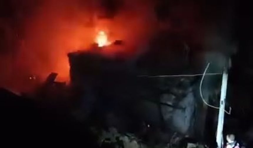 Ormanlık alanda çıkan yangın eve sıçradı