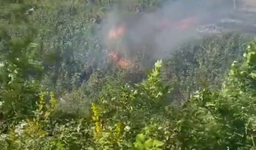 Otluk alanda çıkan yangın, kara yolunu kapladı
