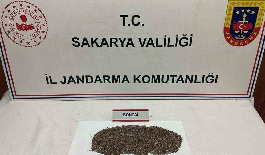 Otoyolda uyuşturucu sevkiyatı jandarmaya takıldı: 1 tutuklama