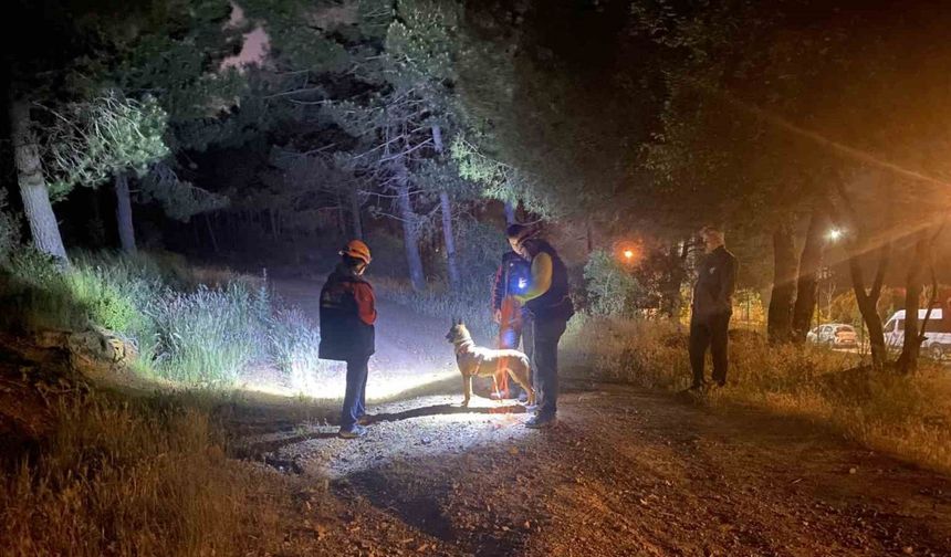 Pendik’te ormana girdikten sonra haber alınamayan şahıs için arama çalışmaları başlatıldı