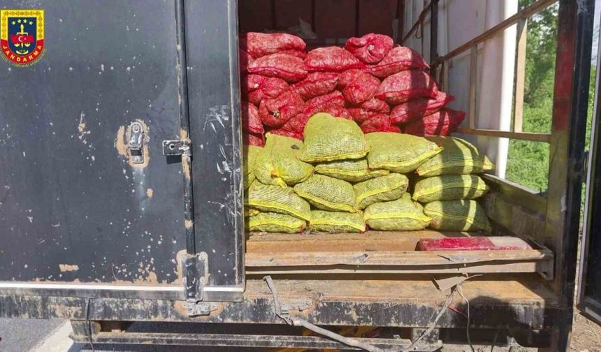 Sakarya’da midye vurgunu: Resmi evraksız 5 ton midyeye el kondu