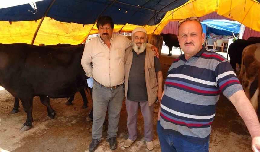 Samsun’da kurban pazarında yüzler gülüyor: Hayvanlar elde kalmadı