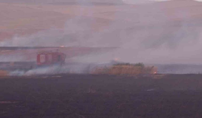 Siirt’te buğday tarlasına yıldırım düştü