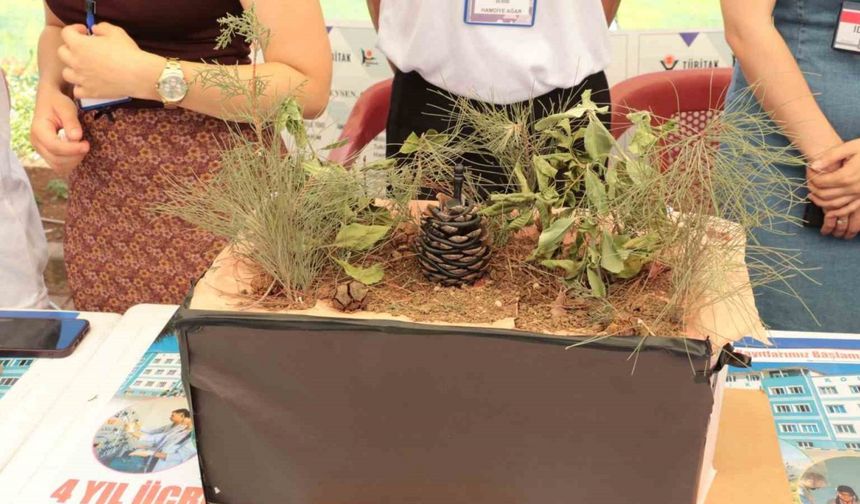 Şırnaklı öğrencilerden "Yakan Değil Söndüren Kozalak Projesi"