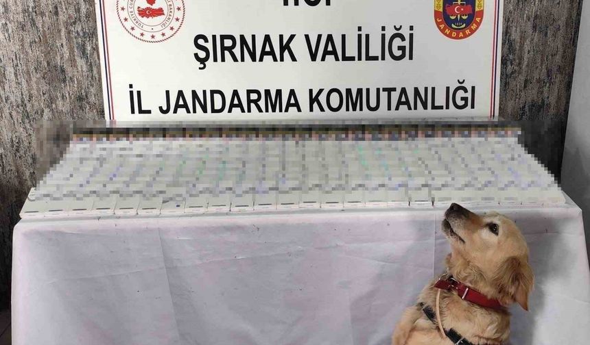 Şırnak’ta 281 bin 500 TL değerinde kaçak malzeme ele geçirildi