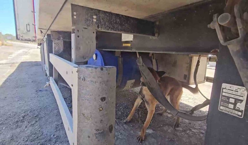 Şırnak’ta aracında 30 kilo uyuşturucuyla yakalanan şahıs tutuklandı