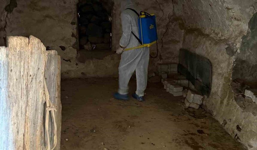 Şırnak’ta şap hastalığı tespit edildi bir köy karantinaya alındı