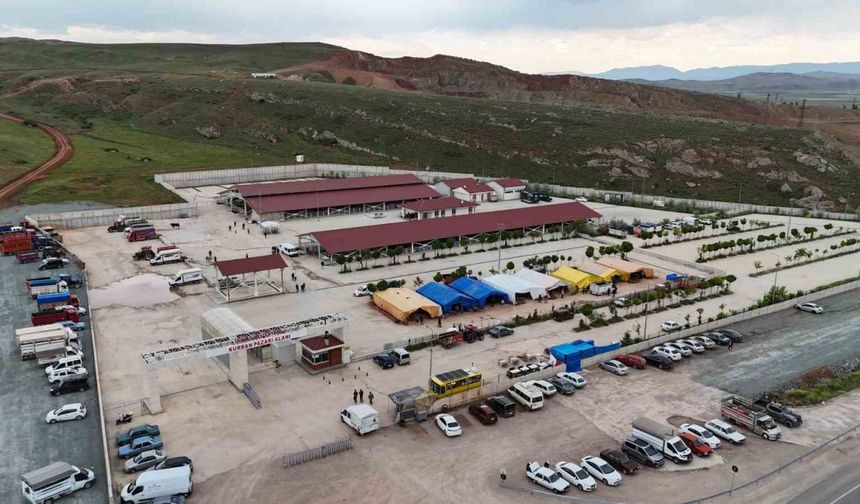 Sivas Belediyesi’nden modern kurban pazarı hizmeti