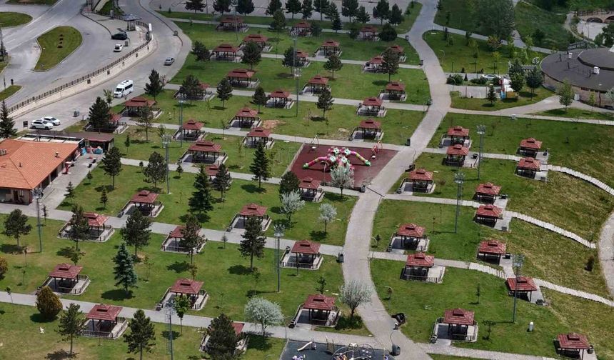 Sivas’ta mesire alanları, kene kabusu nedeniyle boş kaldı