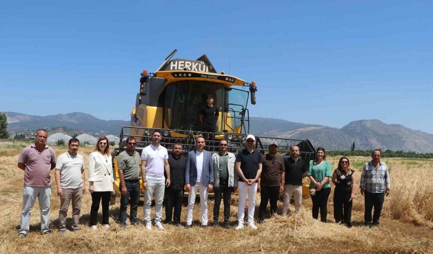 Söke Belediyesi’nde yeni sezonun buğday hasadı