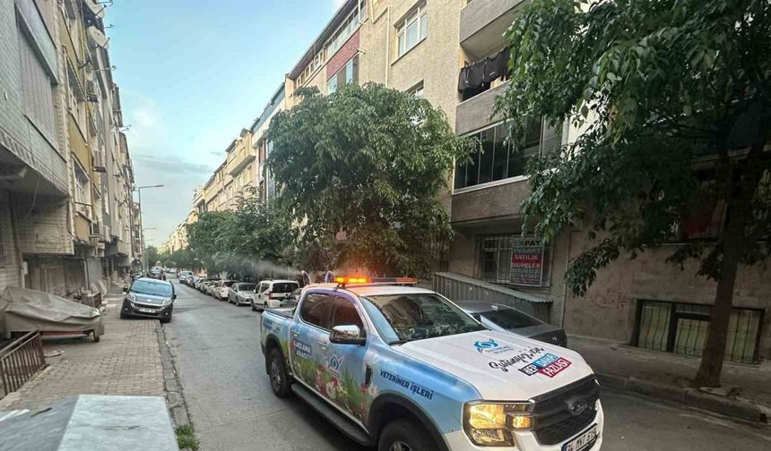 Sultangazi’de sivrisineksiz yaz için ilaçlama çalışmaları sürüyor