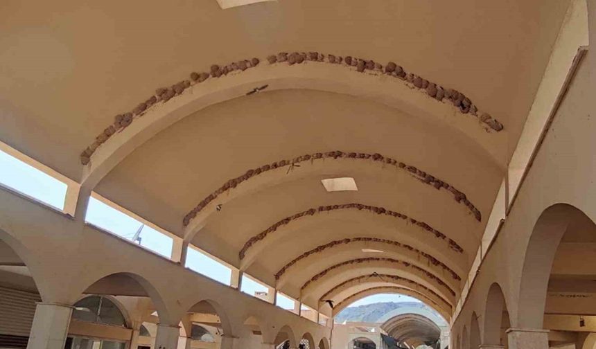 Tarihi Hasankeyf’i mesken edinen Kırlangıç kuşları çarşıyı yuvalarıyla donattı