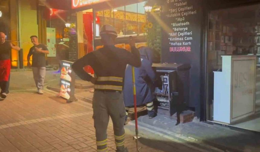 Trafoya giren fare paniğe neden oldu