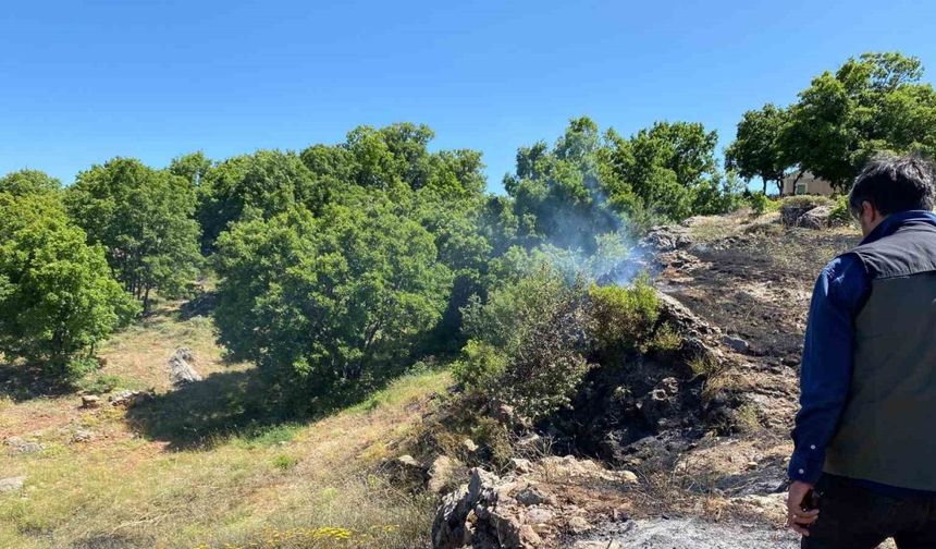 Tunceli’de yangın köye sıçramadan engellendi
