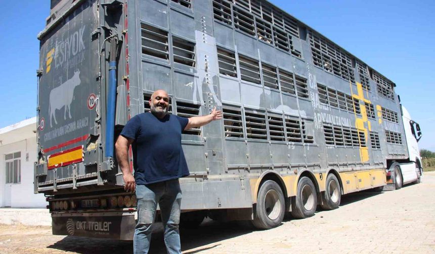 Türk mühendislerin tasarladığı bu araçla, canlı hayvan naklinde 5 yıldızlı konfor dönemi başladı