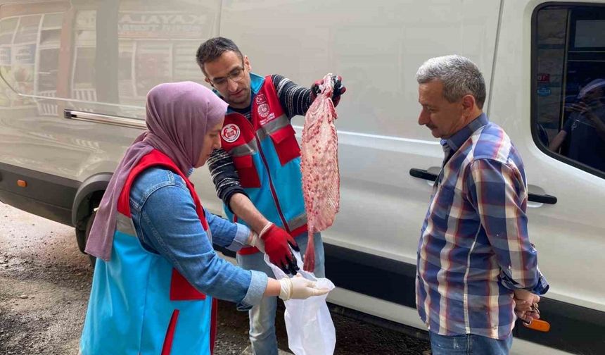 Türkeli’de kaçak avlanan 363 kalkan balığı vatandaşa dağıtıldı