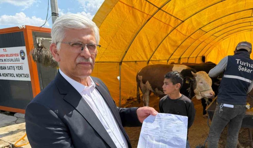 TVHB Merkez Konseyi Başkanı Eroğlu, kurban pazarında veteriner hekimlerin uğradığı şiddete dikkat çekti