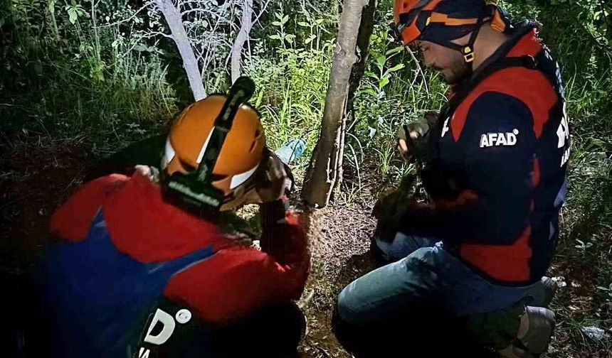 Yalova’da kayıp vatandaş ormanda ölü bulundu