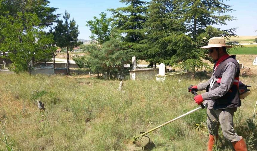 Yarımca köyü yabancı otlardan temizleniyor