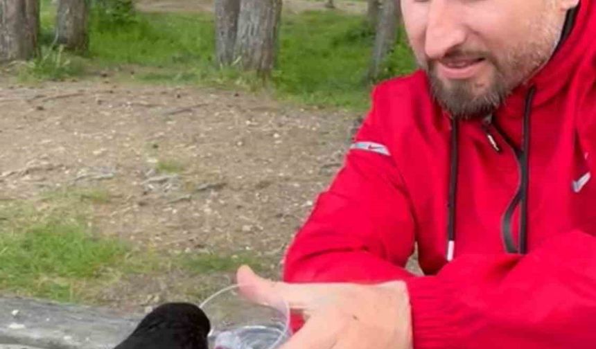 Yavru kargaya bardakla su verdiler, elleriyle beslediler