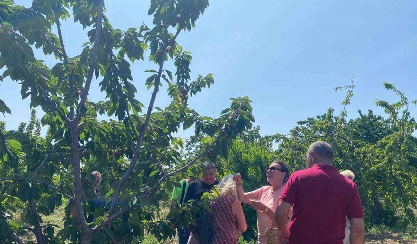 Yeşilçam Yıldızı Savaş’tan nostaljik ziyaret: Geleneksel kıyafetiyle kiraz topladı