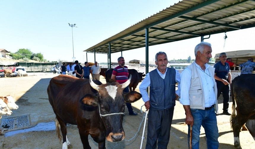 Yeşilyurt Belediyesi 41 noktada kurban satış ve kesim yeri belirledi