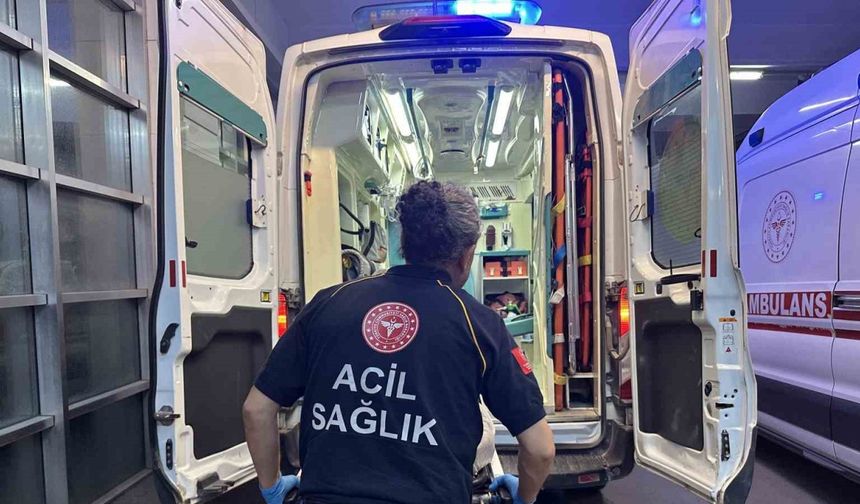 Yılanın ısırdığı kişi hastaneye kaldırıldı