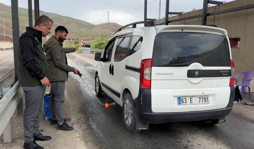 Yüksekova’da şap hastalığı alarmı